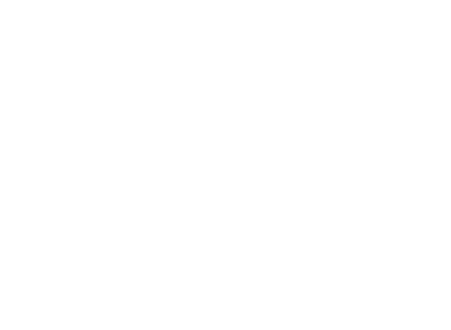 Logo Shirley